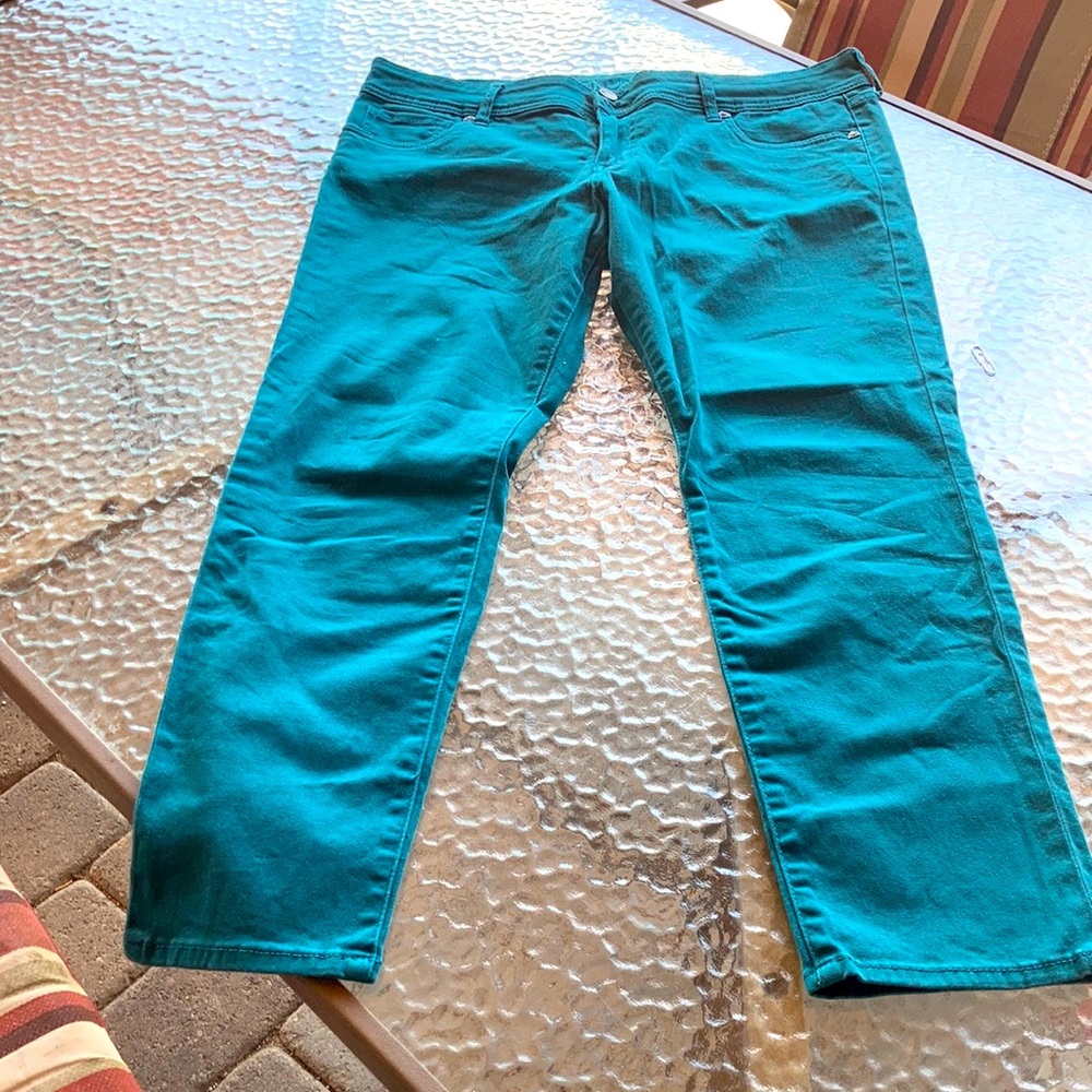 KUT pants